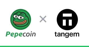 Pepecoin Tangem Wallet Orders Open