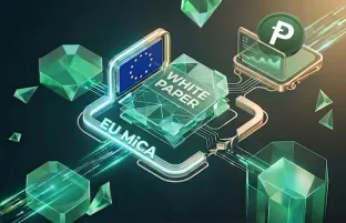 Pepecoin Publishes White Paper for EU MiCA Compliance